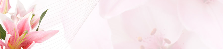 ���܂����b�p�A�P�A�Ɍ���40�ォ��̏��������T�v�������g